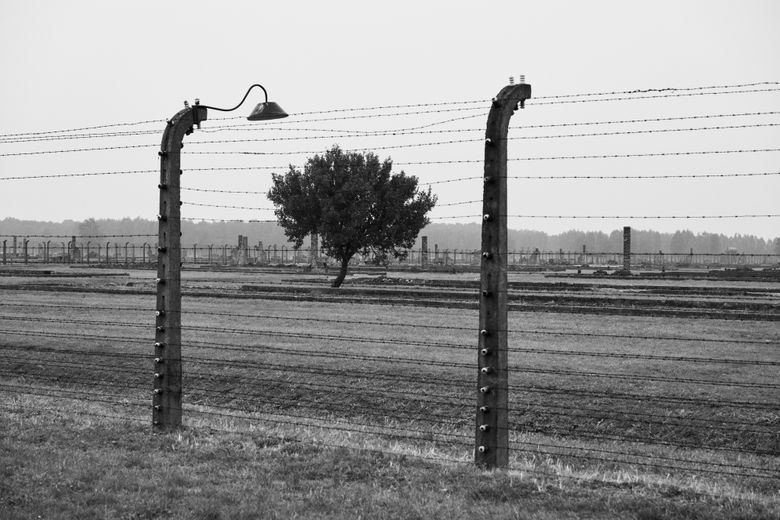 Auschwitz-Birkenau, '17