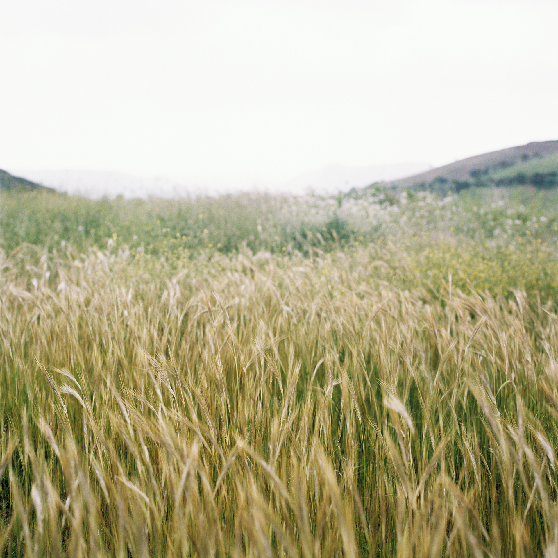 Sardinia, '01
