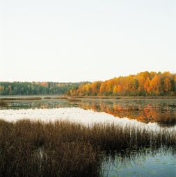 Sweden, '05